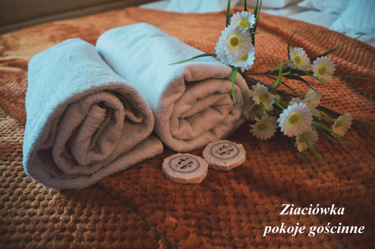 Ziaciówka Apartamento Rzepiska Exterior foto